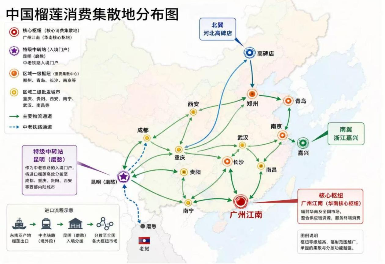 一颗榴莲的“跨国之旅”:藏在“榴莲自由”背后的中国williamhill中文官网力量